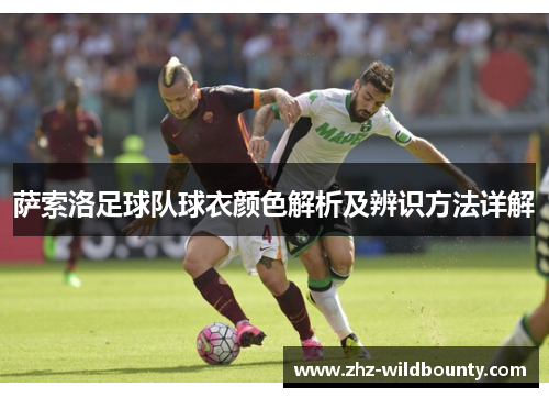 萨索洛足球队球衣颜色解析及辨识方法详解